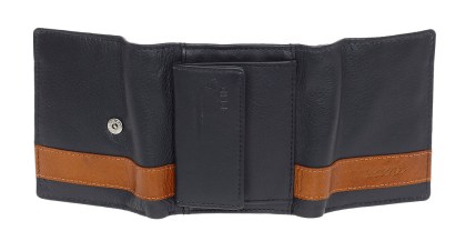 /3301blue3-1737796637