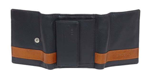 /3301blue3-1737796637