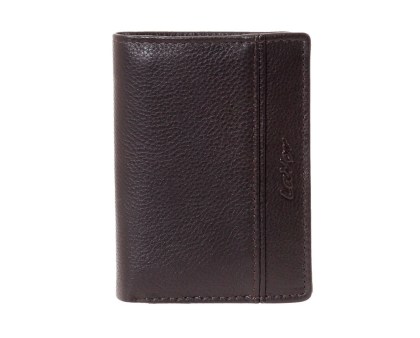 /3808_brown_n-1726824750