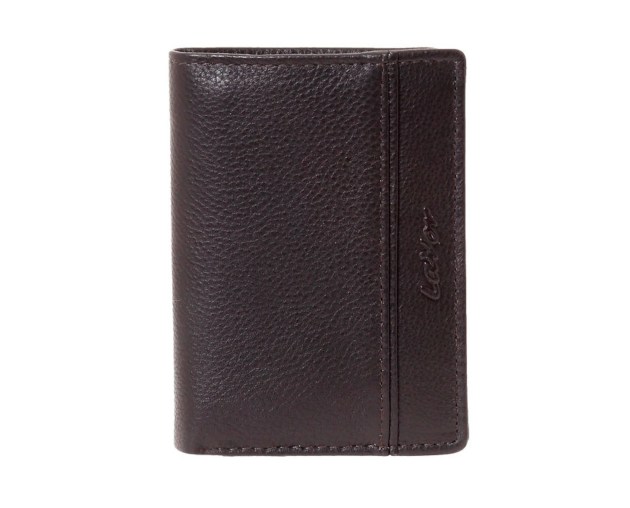 /3808_brown_n-1726824750