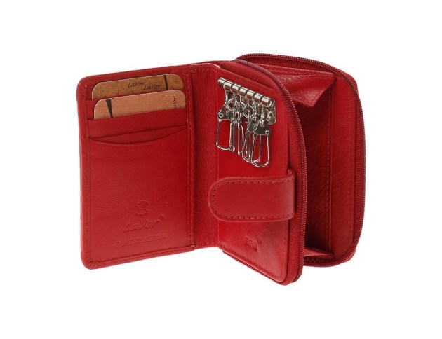 /3863__n4-1728505740