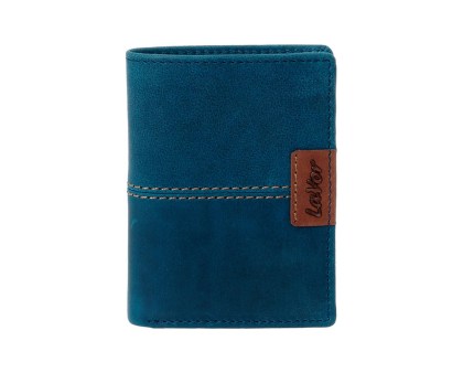 /6066_blue_n-1726829582