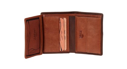 /6066_brown_n1-1726828657