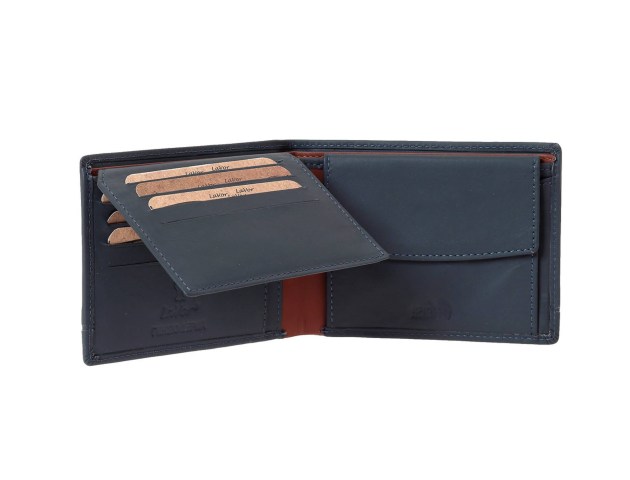 /6084_blue_n_second-1726569989