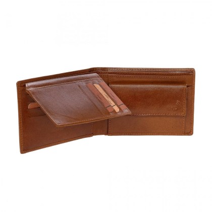 /6558_cog_n2-1728405944