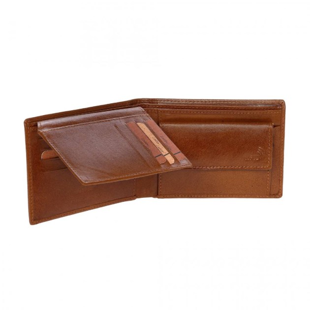 /6558_cog_n2-1728405944