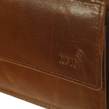 /6558_cog_n3-1728405944