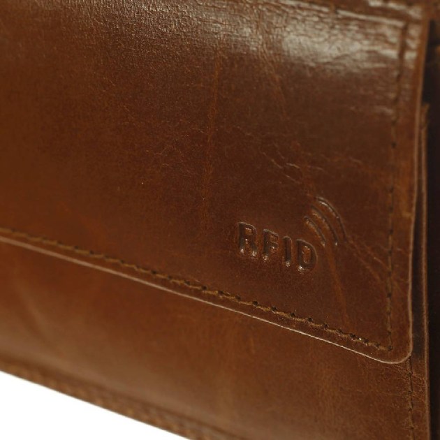 /6558_cog_n3-1728405944