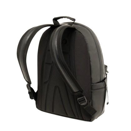 /gecko__n2-1729676127