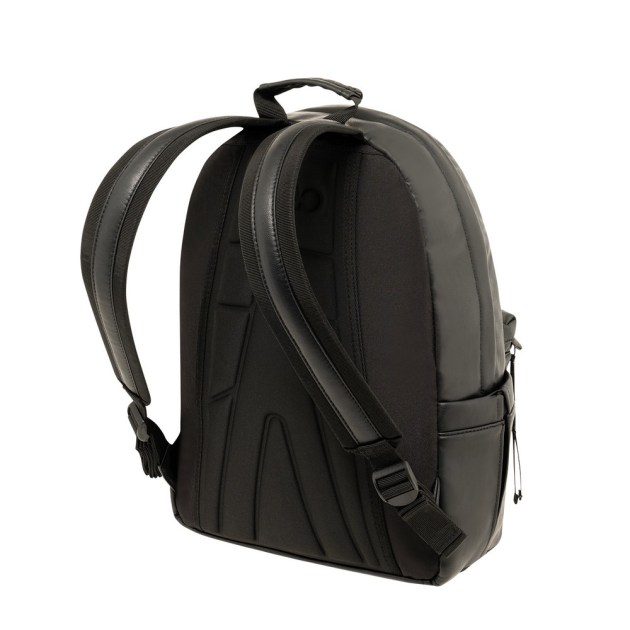 /gecko__n2-1729676127